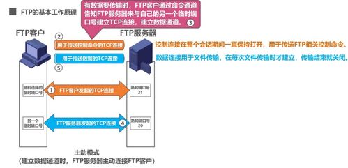 计算机网络应用层 域名系统DNS、文件传送协议FTP与计算机系统服务